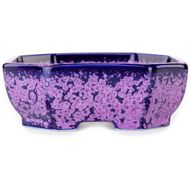 Pot à bonsaï ovale violet à glaçure cristalline par Heian Senzan - 161 x 132 x 50 mm