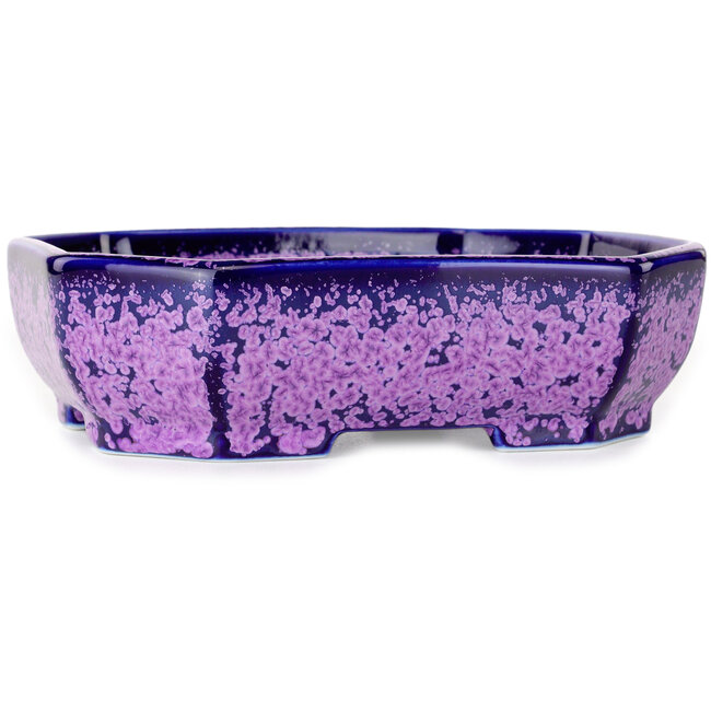 Pot à bonsaï ovale violet à glaçure cristalline par Heian Senzan - 161 x 132 x 50 mm