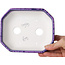 Maceta ovalada para bonsái con esmalte de cristal morado de Heian Senzan - 161 x 132 x 50 mm