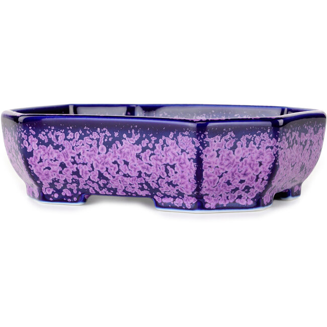 Pot à bonsaï ovale violet à glaçure cristalline par Heian Senzan - 161 x 132 x 50 mm