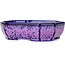 Maceta ovalada para bonsái con esmalte de cristal morado de Heian Senzan - 161 x 132 x 50 mm