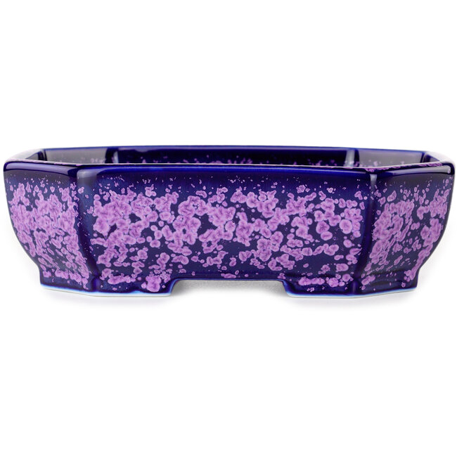 Pot à bonsaï ovale violet à glaçure cristalline par Heian Senzan - 161 x 132 x 50 mm