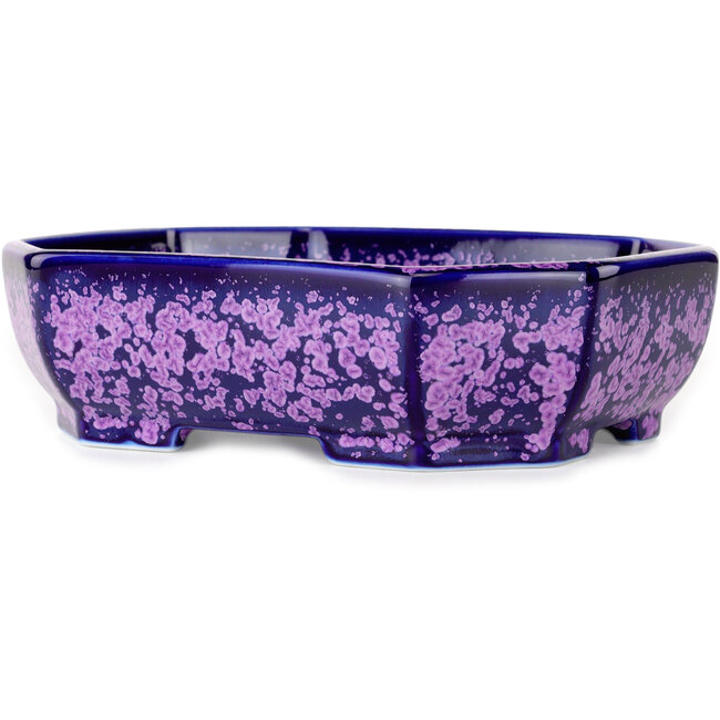 Maceta ovalada para bonsái con esmalte de cristal morado de Heian Senzan - 161 x 132 x 50 mm