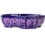 Maceta ovalada para bonsái con esmalte de cristal morado de Heian Senzan - 161 x 132 x 50 mm