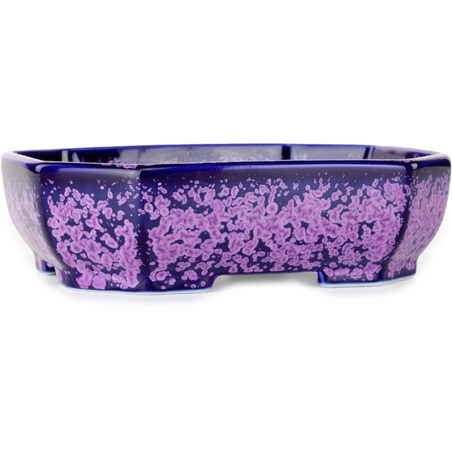 Maceta ovalada para bonsái con esmalte de cristal morado de Heian Senzan - 161 x 132 x 50 mm