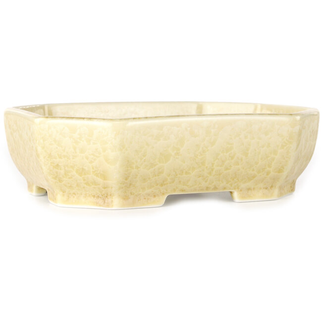 Pot à bonsaï ovale blanc cassé à glaçure cristalline par Heian Senzan - 161 x 132 x 50 mm