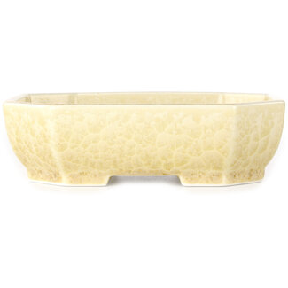  Heian Senzan Pot à bonsaï ovale de 161 mm, blanc cassé, à glaçure cristalline, par Heian Senzan, Tokoname, Japon