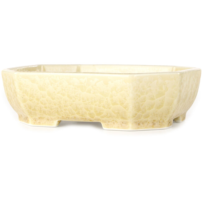 Ovale, gebroken witte bonsaipot met kristalglazuur van Heian Senzan - 161 x 132 x 50 mm