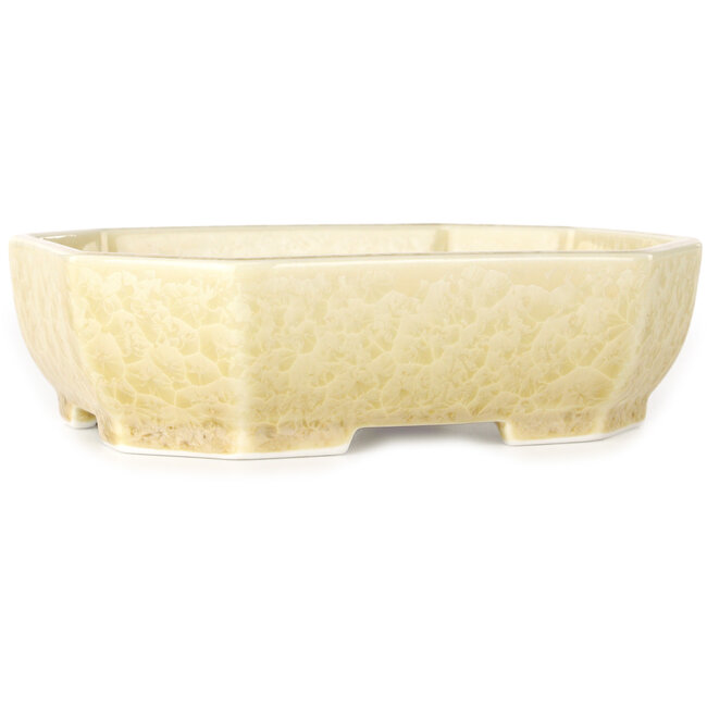 Pot à bonsaï ovale blanc cassé à glaçure cristalline par Heian Senzan - 161 x 132 x 50 mm