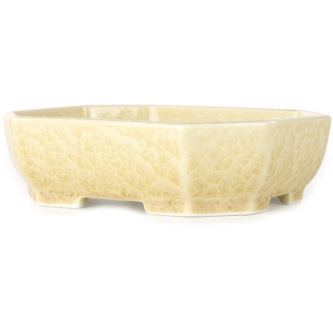 Oval off-white, crystal glaze bonsai pot by Heian Senzan - 161 x 132 x 50 mm