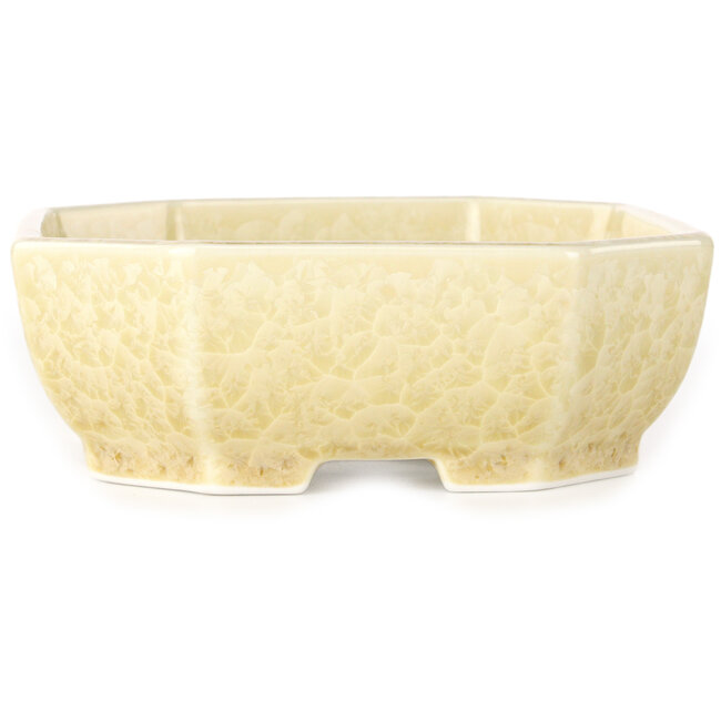 Pot à bonsaï ovale blanc cassé à glaçure cristalline par Heian Senzan - 161 x 132 x 50 mm