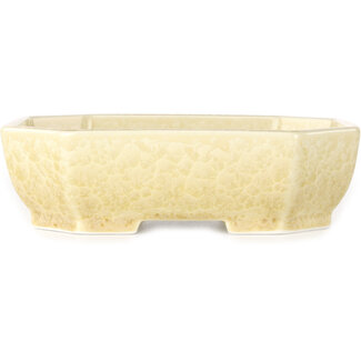  Heian Senzan Maceta de bonsái ovalada de 161 mm en color blanco roto con esmaltado de cristal de Heian Senzan, Tokoname, Japón