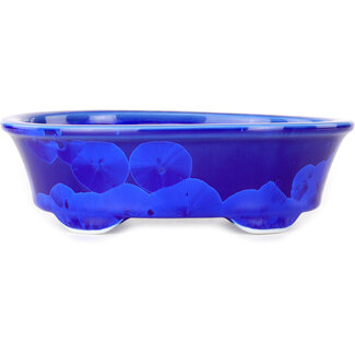  Heian Senzan Vaso bonsai ovale da 180 mm, smaltato in cristallo blu scuro, di Heian Senzan, Tokoname, Giappone