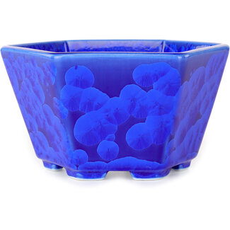  Heian Senzan 140 mm hexagonal dark blue, crystal glaze bonsai pot by Heian Senzan, Tokoname, Japan