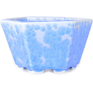  Heian Senzan Pot à bonsaï hexagonal de 140 mm, bleu clair, émail cristal, par Heian Senzan, Tokoname, Japon