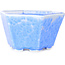Pot à bonsaï hexagonal bleu clair à glaçure cristalline par Heian Senzan - 140 x 140 x 75 mm