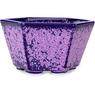  Heian Senzan Vaso per bonsai esagonale da 140 mm, smaltato in cristallo viola, di Heian Senzan, Tokoname, Giappone