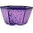 Maceta hexagonal para bonsái con esmalte de cristal morado de Heian Senzan (140 x 140 x 75 mm)