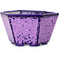 Maceta hexagonal para bonsái con esmalte de cristal morado de Heian Senzan (140 x 140 x 75 mm)