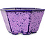 Vaso bonsai esagonale viola smaltato in cristallo di Heian Senzan - 140 x 140 x 75 mm
