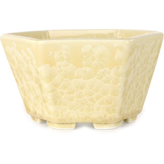  Heian Senzan Vaso per bonsai esagonale da 140 mm, color bianco sporco, smaltato in cristallo, di Heian Senzan, Tokoname, Giappone