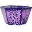 Pot à bonsaï hexagonal violet à glaçure cristalline par Heian Senzan - 140 x 140 x 75 mm