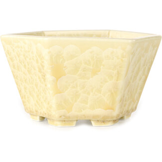  Heian Senzan Vaso per bonsai esagonale da 140 mm, color bianco sporco, smaltato in cristallo, di Heian Senzan, Tokoname, Giappone