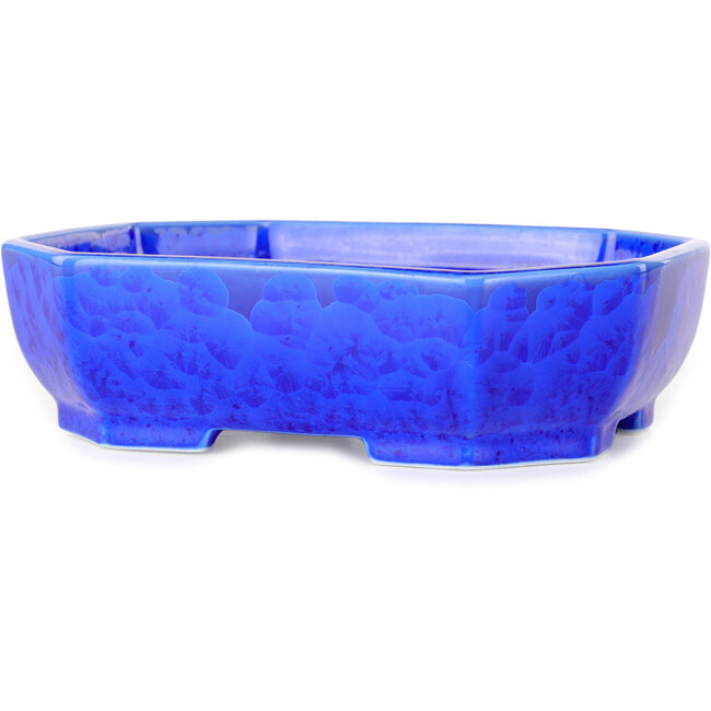 Pot à bonsaï ovale en émail cristal bleu foncé, par Heian Senzan - 161 x 132 x 50 mm