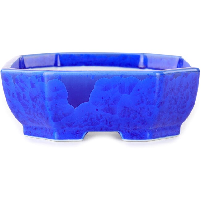 Pot à bonsaï ovale en émail cristal bleu foncé, par Heian Senzan - 161 x 132 x 50 mm