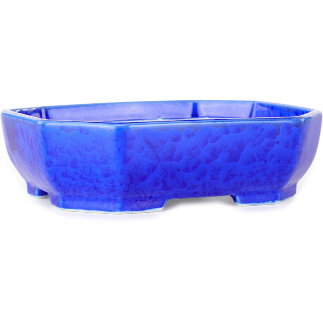 Maceta ovalada para bonsái con esmalte azul oscuro de Heian Senzan (161 x 132 x 50 mm)