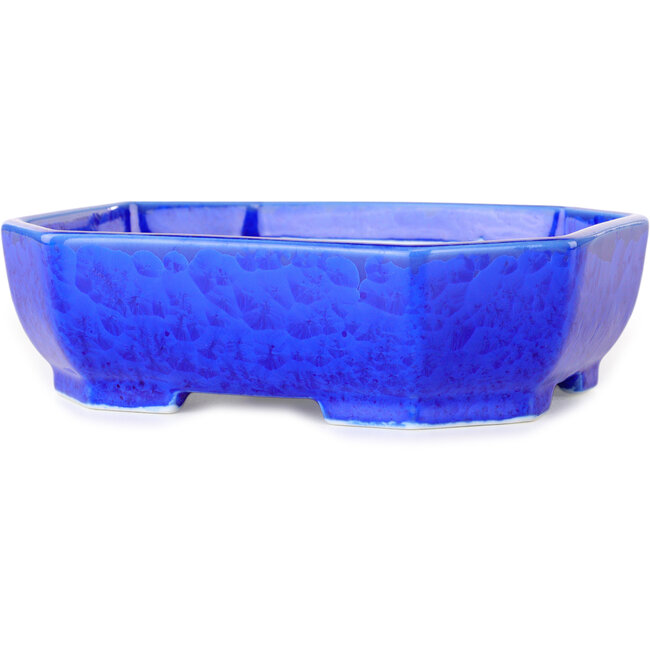 Maceta ovalada para bonsái con esmalte azul oscuro de Heian Senzan (161 x 132 x 50 mm)