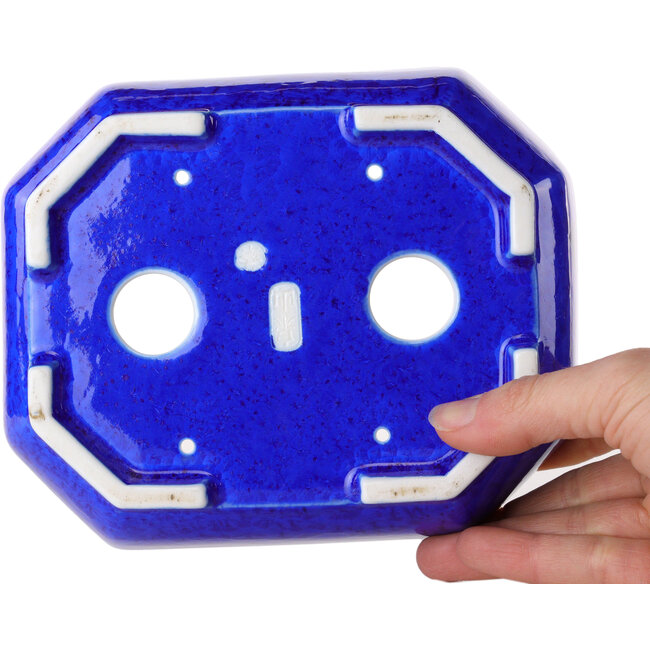 Pot à bonsaï ovale en émail cristal bleu foncé, par Heian Senzan - 161 x 132 x 50 mm