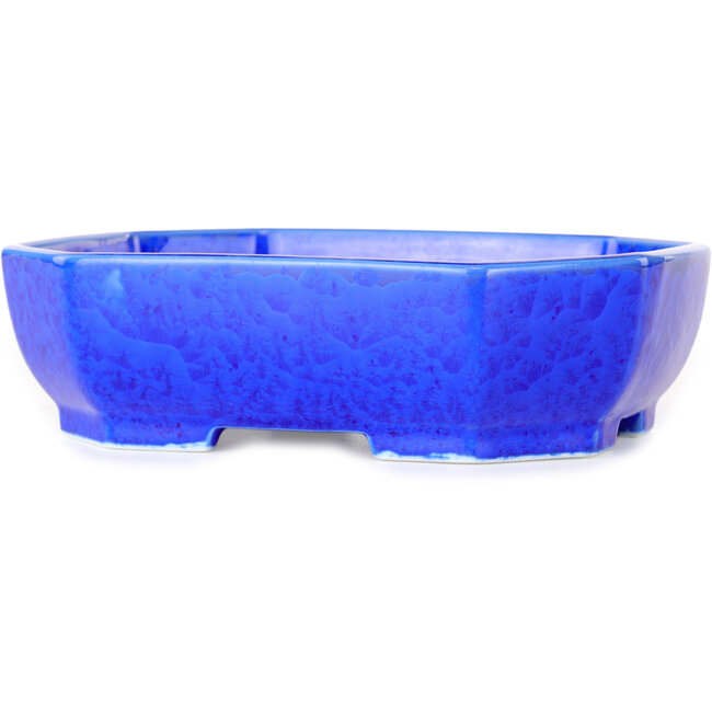 Vaso bonsai ovale blu scuro, smaltato in cristallo di Heian Senzan - 161 x 132 x 50 mm