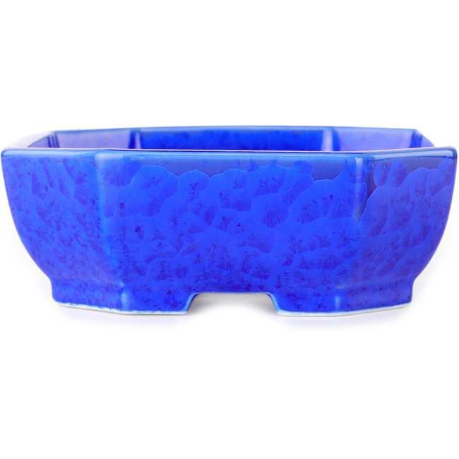 Vaso bonsai ovale blu scuro, smaltato in cristallo di Heian Senzan - 161 x 132 x 50 mm