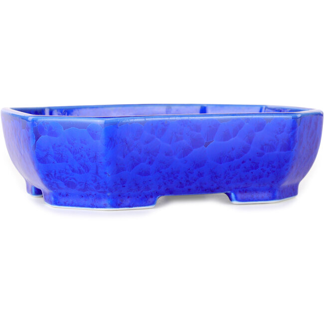 Vaso bonsai ovale blu scuro, smaltato in cristallo di Heian Senzan - 161 x 132 x 50 mm