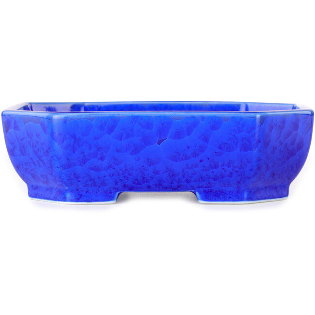 Pot à bonsaï ovale en émail cristal bleu foncé, par Heian Senzan - 161 x 132 x 50 mm