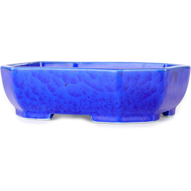 Pot à bonsaï ovale en émail cristal bleu foncé, par Heian Senzan - 161 x 132 x 50 mm