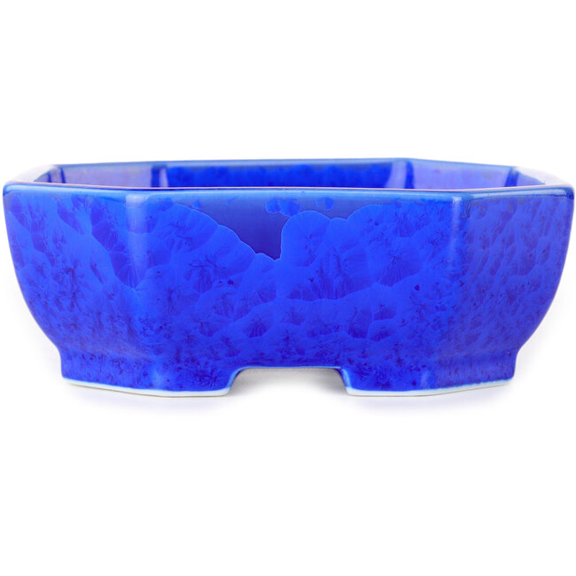 Maceta ovalada para bonsái con esmalte azul oscuro de Heian Senzan (161 x 132 x 50 mm)