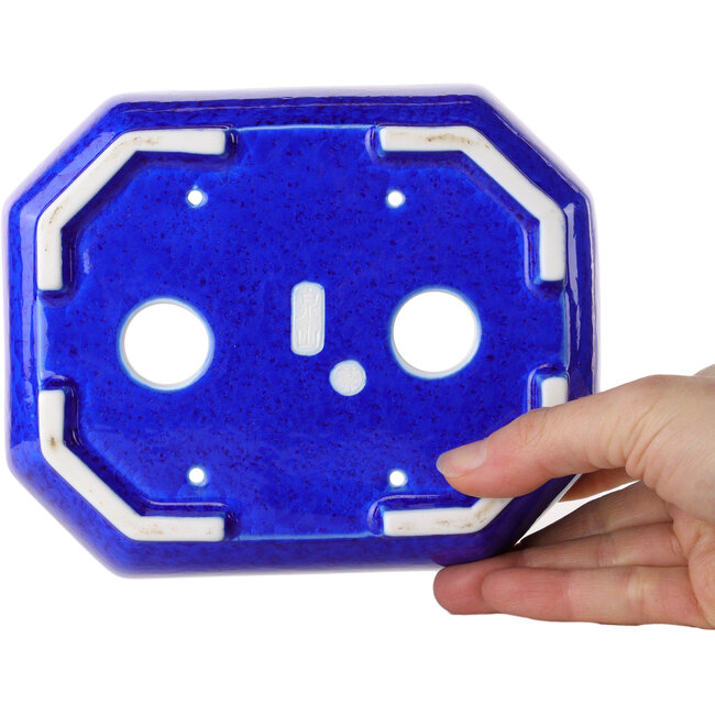 Pot à bonsaï ovale en émail cristal bleu foncé, par Heian Senzan - 161 x 132 x 50 mm