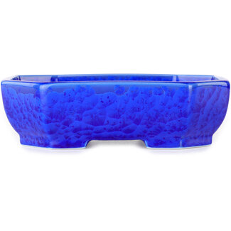  Heian Senzan Maceta ovalada para bonsái de 161 mm, color azul oscuro y esmaltado con cristales, de Heian Senzan, Tokoname, Japón