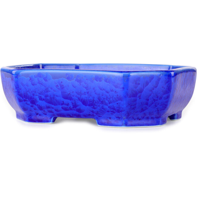 Maceta ovalada para bonsái con esmalte azul oscuro de Heian Senzan (161 x 132 x 50 mm)