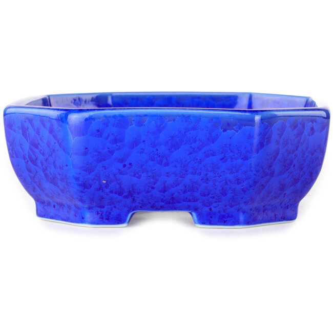 Vaso bonsai ovale blu scuro, smaltato in cristallo di Heian Senzan - 161 x 132 x 50 mm