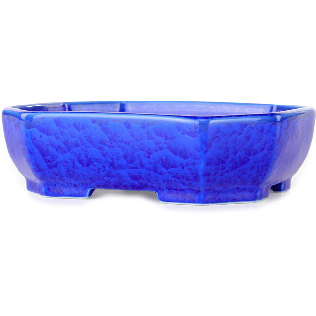 Vaso bonsai ovale blu scuro, smaltato in cristallo di Heian Senzan - 161 x 132 x 50 mm