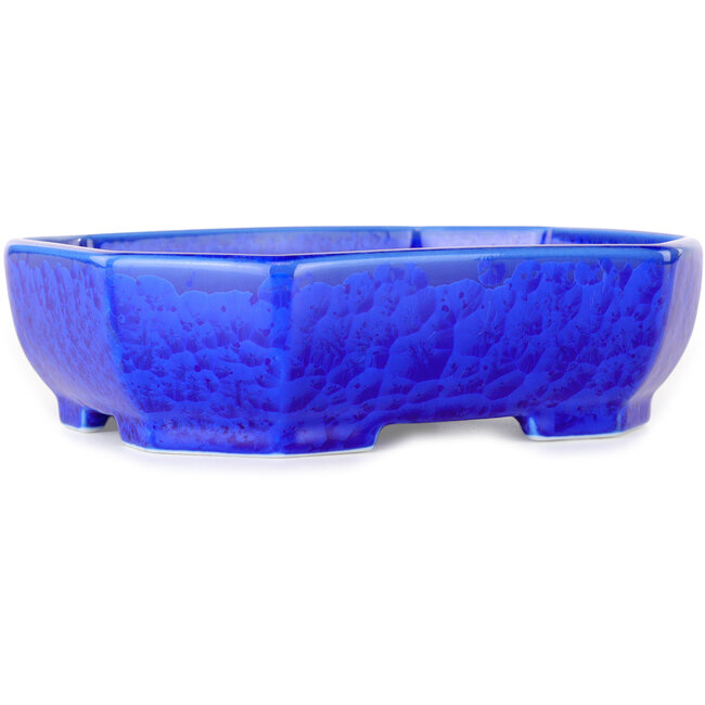Vaso bonsai ovale blu scuro, smaltato in cristallo di Heian Senzan - 161 x 132 x 50 mm