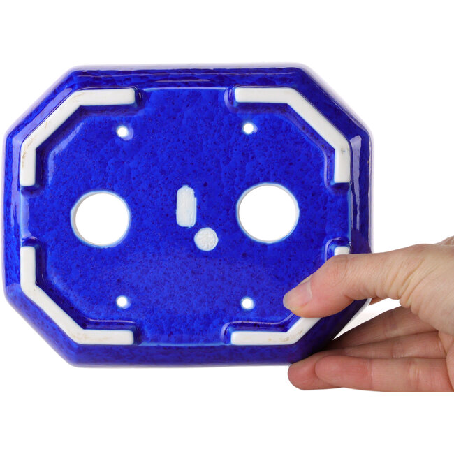 Pot à bonsaï ovale en émail cristal bleu foncé, par Heian Senzan - 161 x 132 x 50 mm