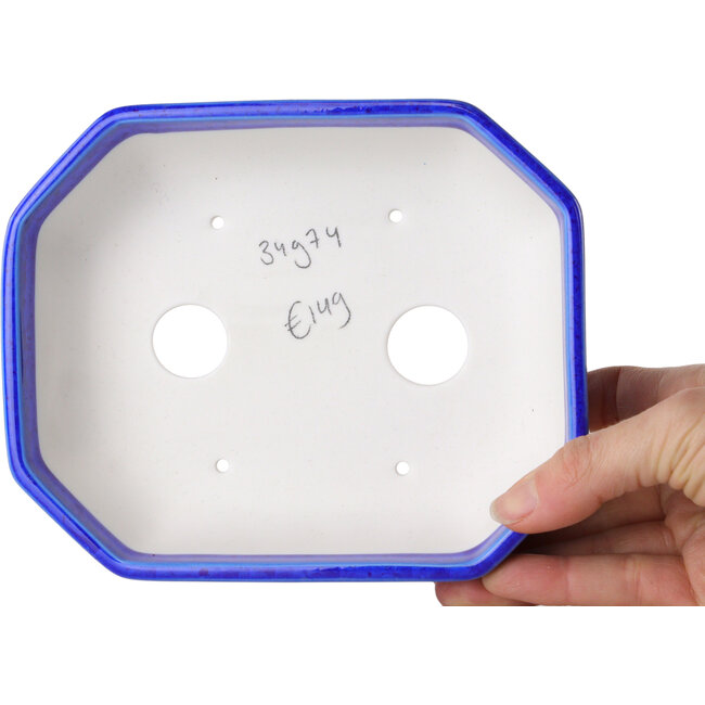 Pot à bonsaï ovale en émail cristal bleu foncé, par Heian Senzan - 161 x 132 x 50 mm