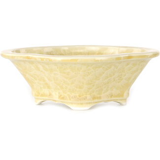  Heian Senzan Pot à bonsaï mokko de 155 mm, blanc cassé, à glaçure cristalline, par Heian Senzan, Tokoname, Japon