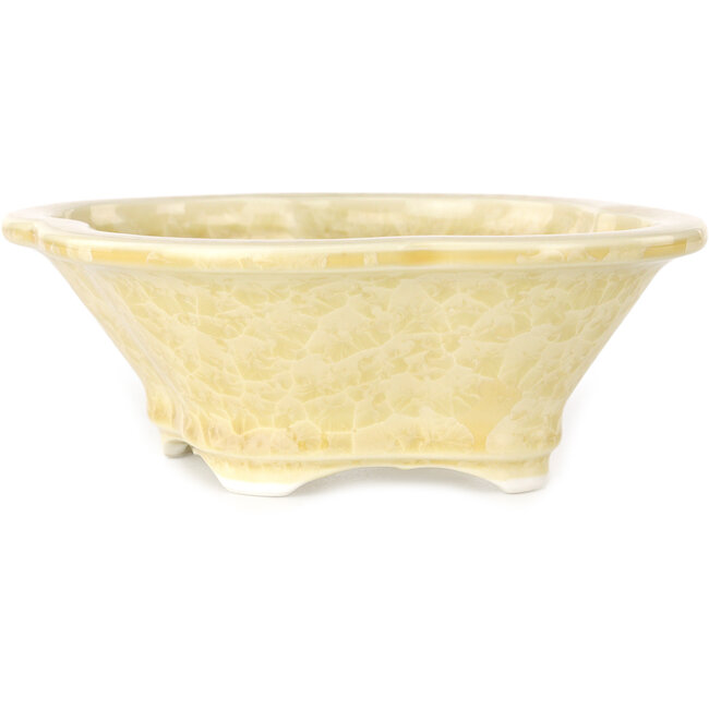 Vaso per bonsai Mokko bianco sporco, smaltato in cristallo di Heian Senzan - 155 x 140 x 50 mm