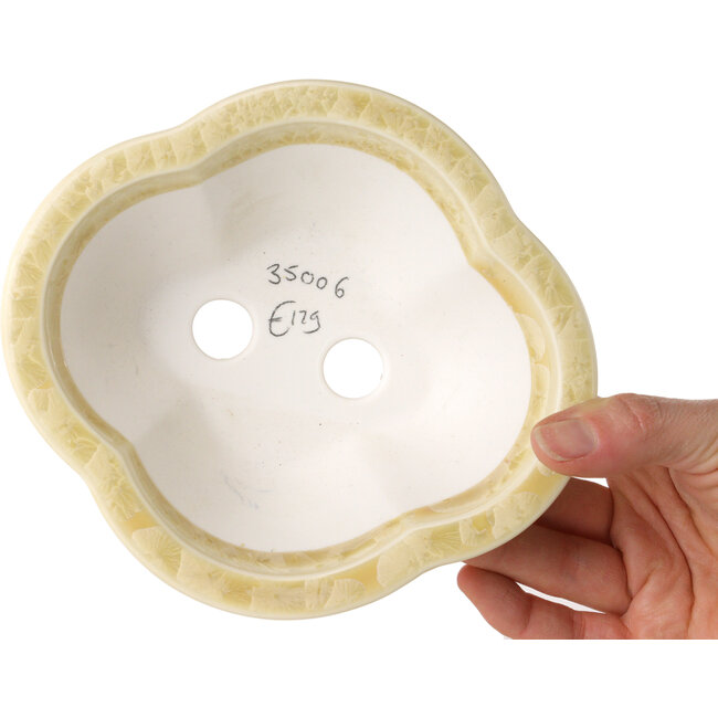 Pot à bonsaï Mokko blanc cassé à glaçure cristalline par Heian Senzan - 155 x 140 x 50 mm