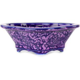  Heian Senzan Vaso per bonsai da 155 mm in mokko viola, smalto cristallino di Heian Senzan, Tokoname, Giappone